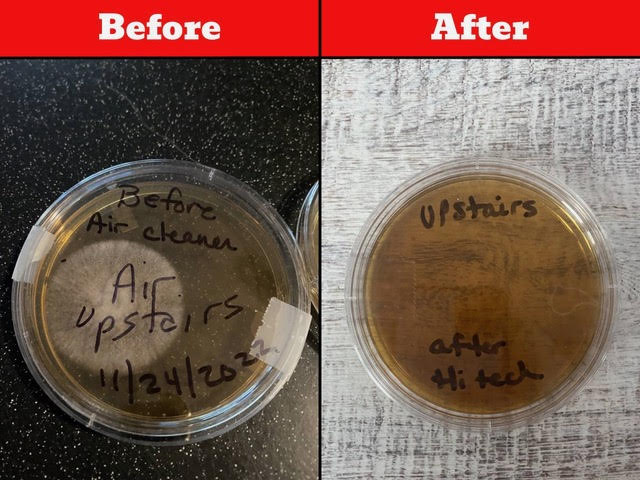 Petri dish before and after photos
